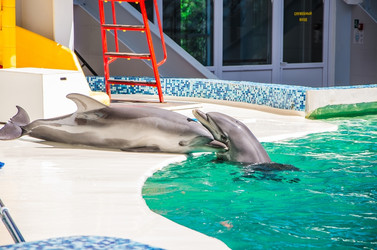 Similar image 2842154