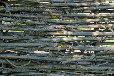 Similar image 2842198