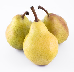 Similar image 2842210