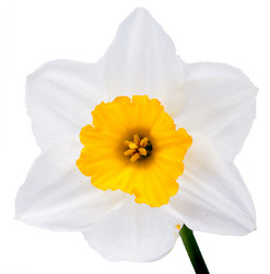 Similar image 2842217