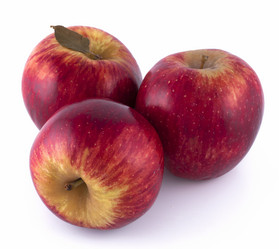 Similar image 2842220