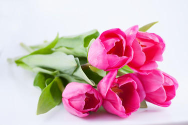 Similar image 2842269