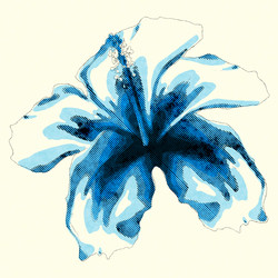 Similar image 2842341