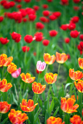 Similar image 2842377