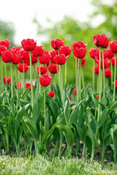 Similar image 2842425