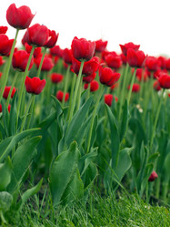 Similar image 2842439