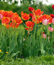 Similar image 2842442