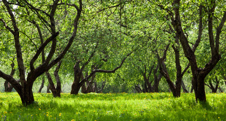 Similar image 2842451