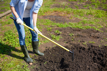 Similar image 2842724