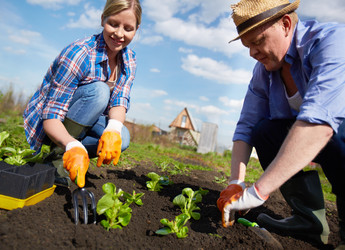 Similar image 2842767