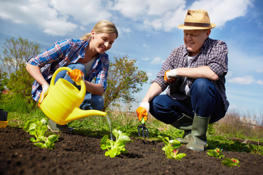 Similar image 2842768