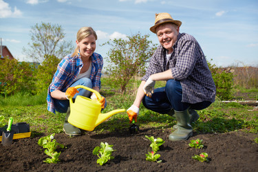 Similar image 2842770