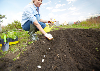 Similar image 2842775