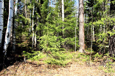 Similar image 2843428