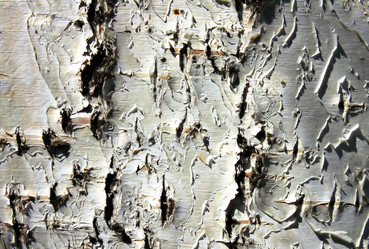 Similar image 2843431