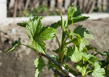 Similar image 2843435