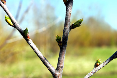 Similar image 2843436