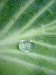 Similar image 2843604