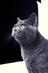 Similar image 2843619