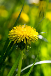 Similar image 2843844