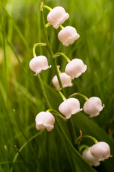 Similar image 2843860