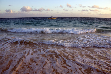 Similar image 2843869