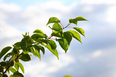 Similar image 2844297