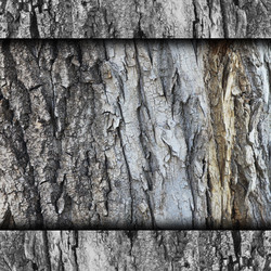 Similar image 2844302