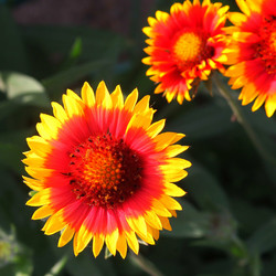 Similar image 2844315