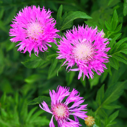 Similar image 2844316