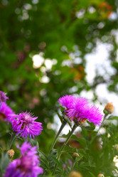 Similar image 2844323