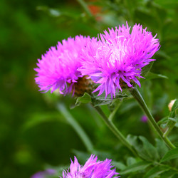 Similar image 2844324