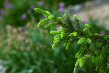 Similar image 2844325