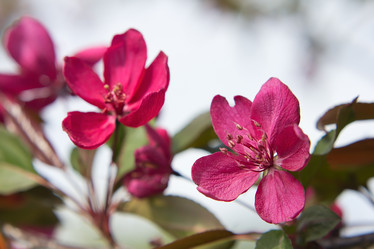 Similar image 2844364