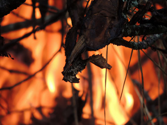 Similar image 2844384