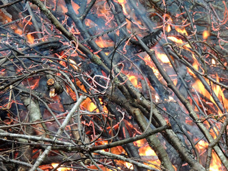 Similar image 2844385