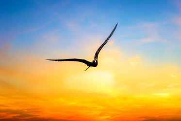 Similar image 2844386