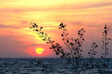 Similar image 2844387