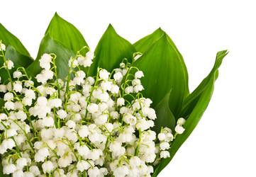 Similar image 2844434