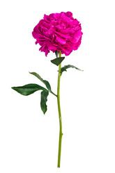 Similar image 2844435