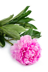 Similar image 2844436