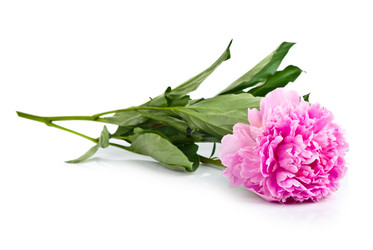 Similar image 2844438