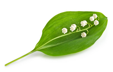 Similar image 2844440