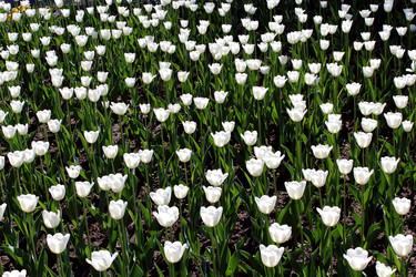 Similar image 2844454