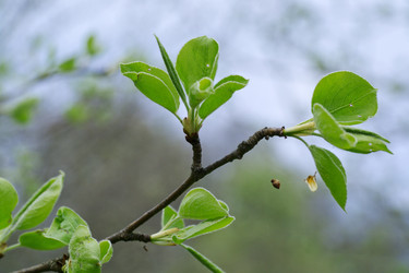 Similar image 2844465