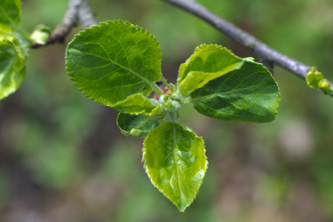 Similar image 2844470