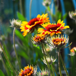 Similar image 2844473