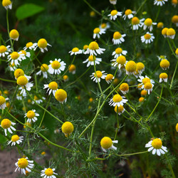 Similar image 2844474