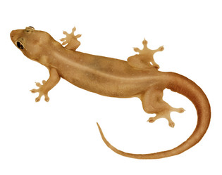 Similar image 2844494