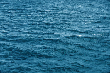 Similar image 2844506